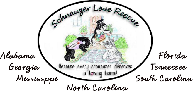 [STAGING] Schnauzer Love Rescue